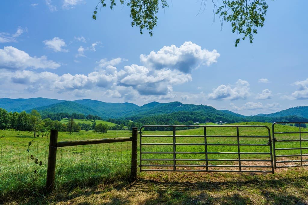 51.20 AC Bethabara Road, Hayesville NC 28904 - Photo