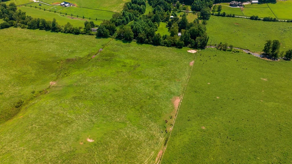 51.20 AC Bethabara Road, Hayesville NC 28904 - Photo