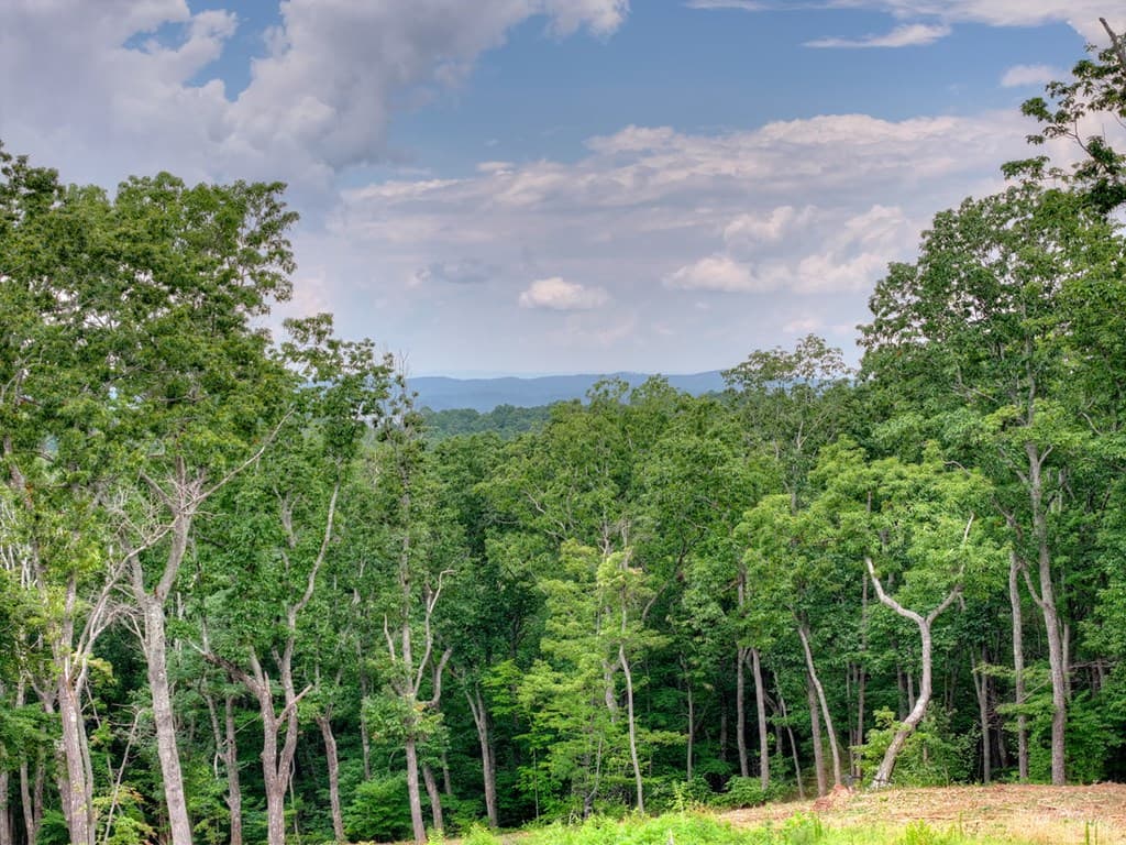 624 High Summit Drive, Talking Rock GA 30175 - Photo