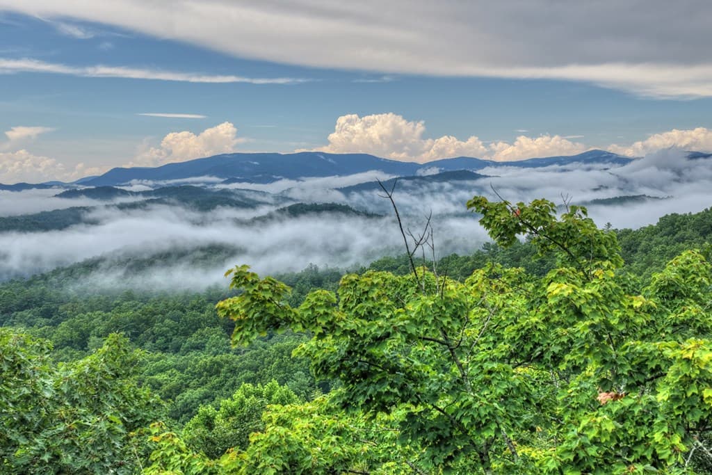1138 Douglas Mountain Trail, Ellijay GA 30540 - Photo