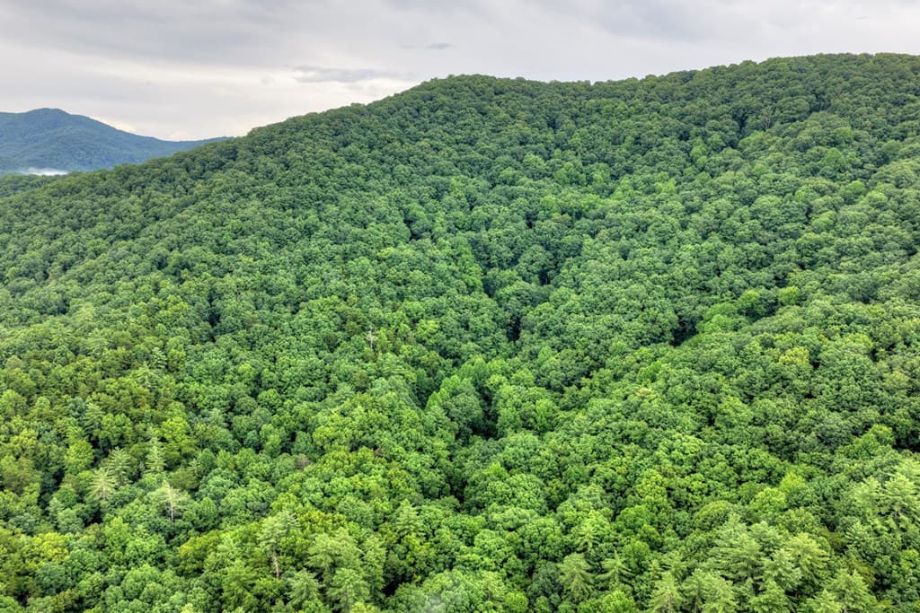 1138 Douglas Mountain Trail, Ellijay GA 30540 - Photo