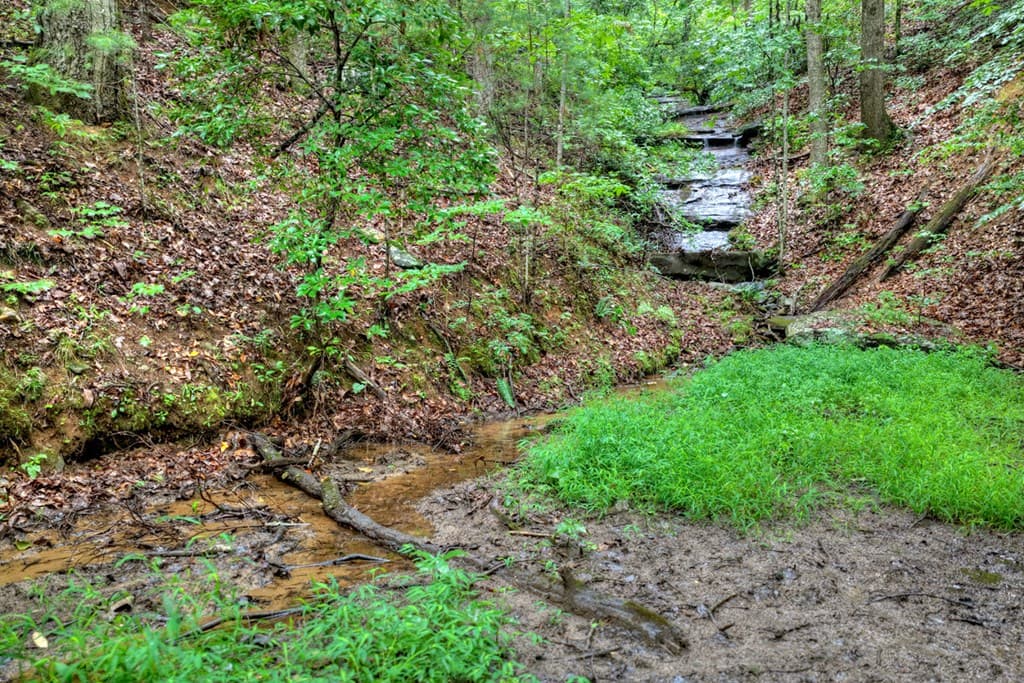 1138 Douglas Mountain Trail, Ellijay GA 30540 - Photo