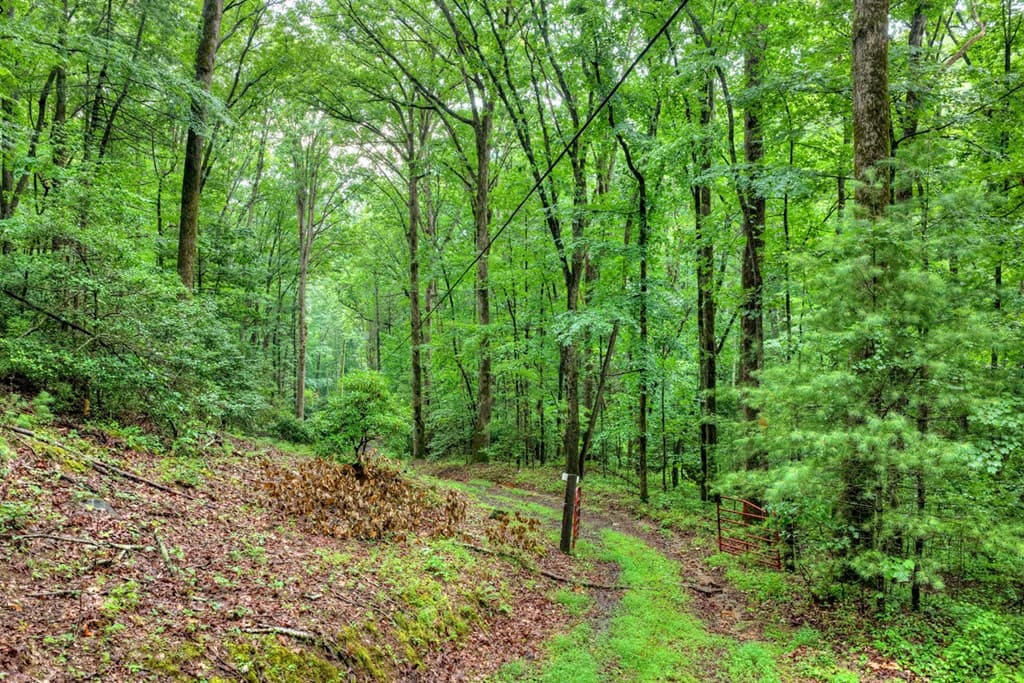 1138 Douglas Mountain Trail, Ellijay GA 30540 - Photo