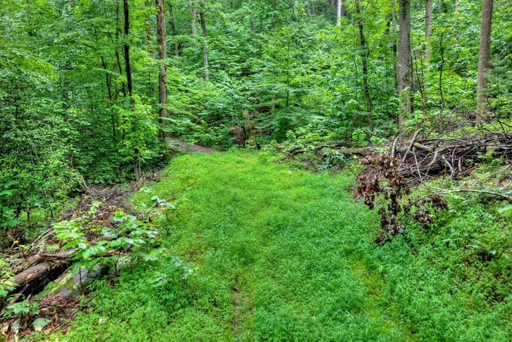 1138 Douglas Mountain Trail, Ellijay GA 30540 - Photo