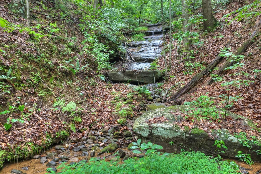 1138 Douglas Mountain Trail, Ellijay GA 30540 - Photo