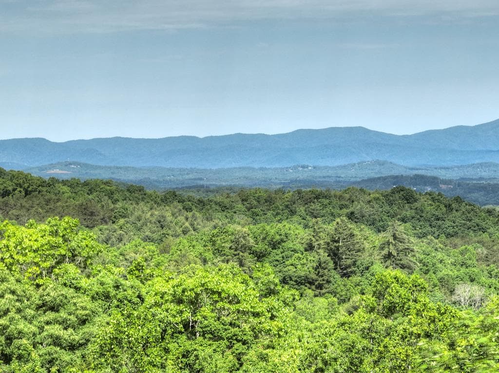 54 Channing Hollow, Morganton GA 30560 - Photo