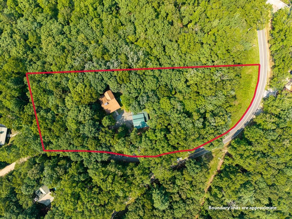 24 Indian Lake Road, Mineral Bluff GA 30559 - Photo