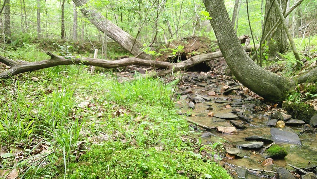 00 Tracks Hollow, Murphy NC 28906 - Photo