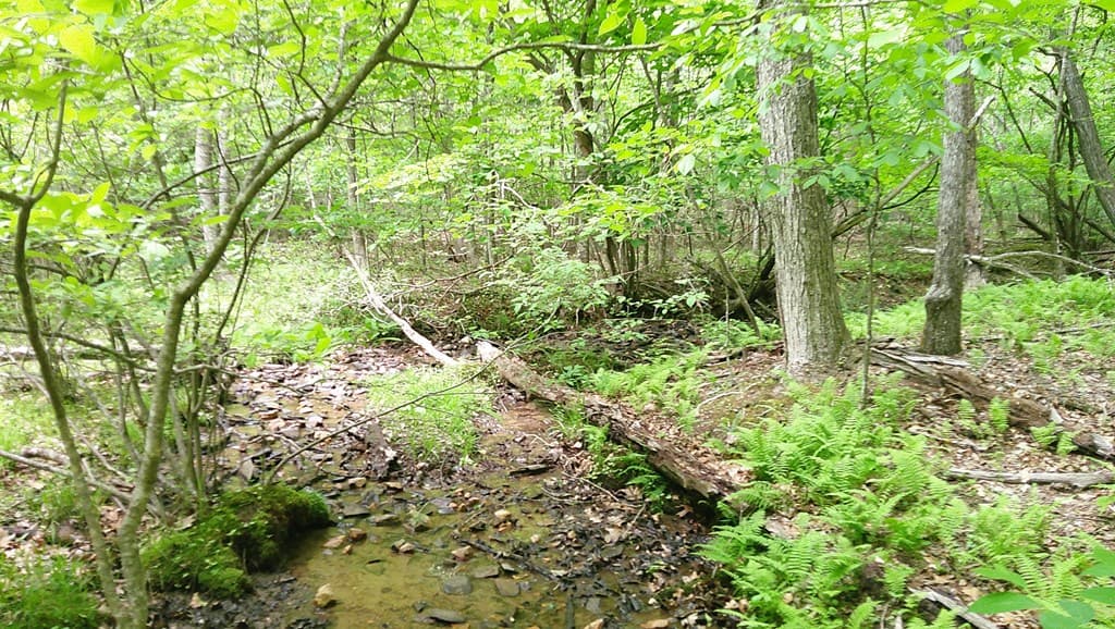 00 Tracks Hollow, Murphy NC 28906 - Photo