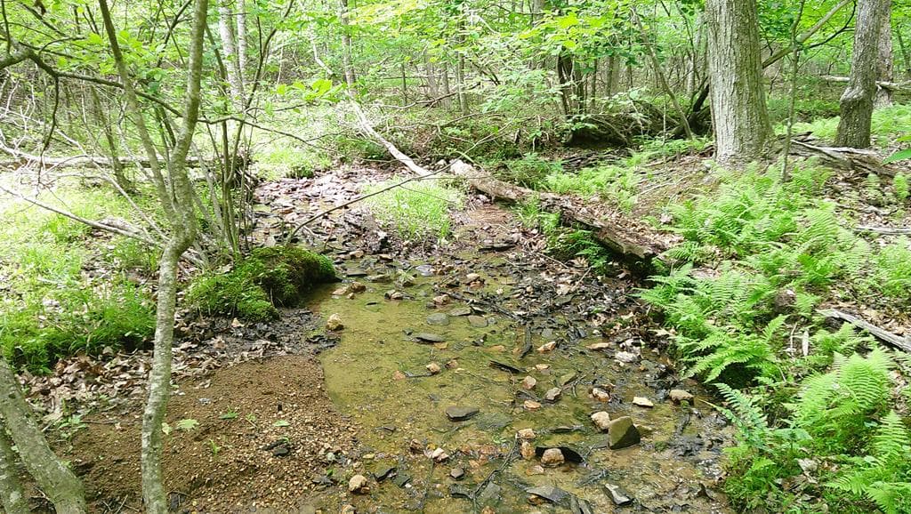 00 Tracks Hollow, Murphy NC 28906 - Primary photo