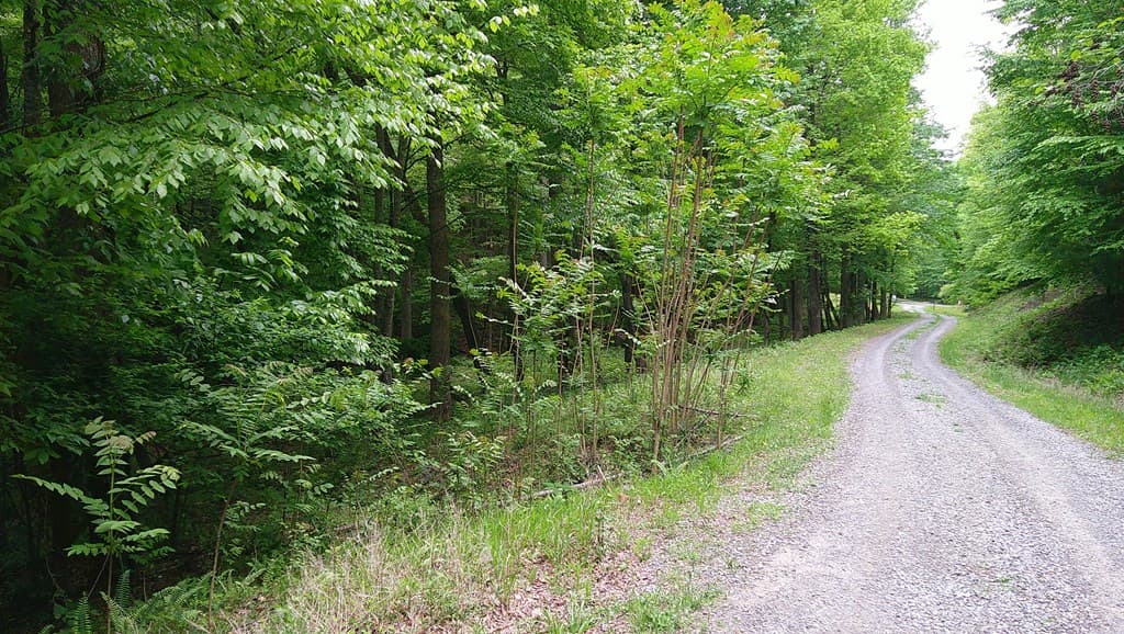 00 Tracks Hollow, Murphy NC 28906 - Photo