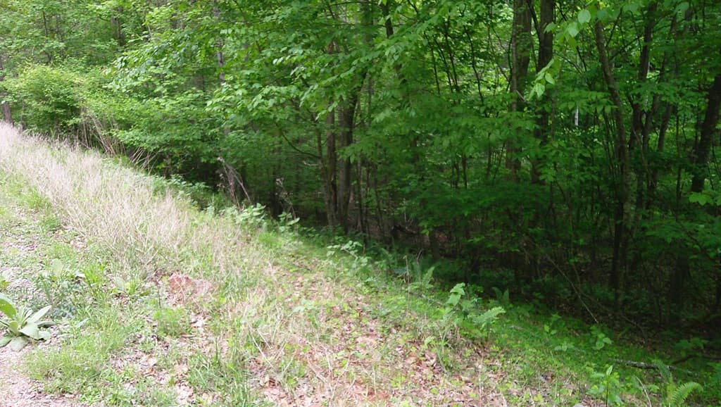 00 Tracks Hollow, Murphy NC 28906 - Photo