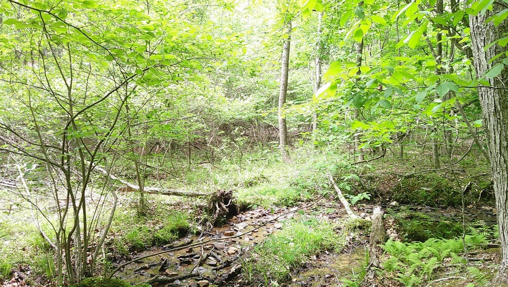 00 Tracks Hollow, Murphy NC 28906 - Photo