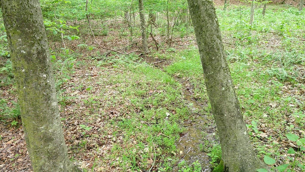 00 Tracks Hollow, Murphy NC 28906 - Photo