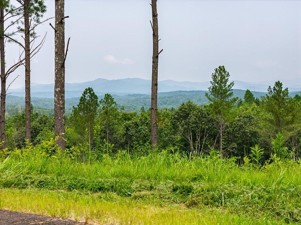 Lot 63 Lacey Springs Lane, Ellijay GA 30143 - Photo