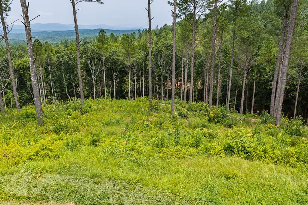 Lot 63 Lacey Springs Lane, Ellijay GA 30143 - Photo