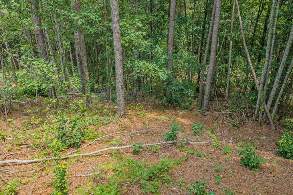 Lot 63 Lacey Springs Lane, Ellijay GA 30143 - Photo