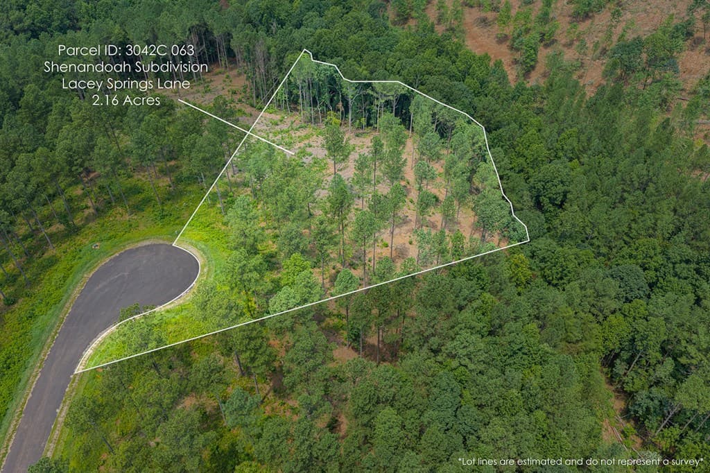 Lot 63 Lacey Springs Lane, Ellijay GA 30143 - Photo