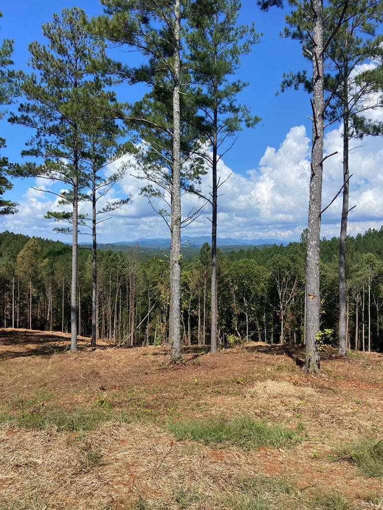 Lot 63 Lacey Springs Lane, Ellijay GA 30143 - Primary photo