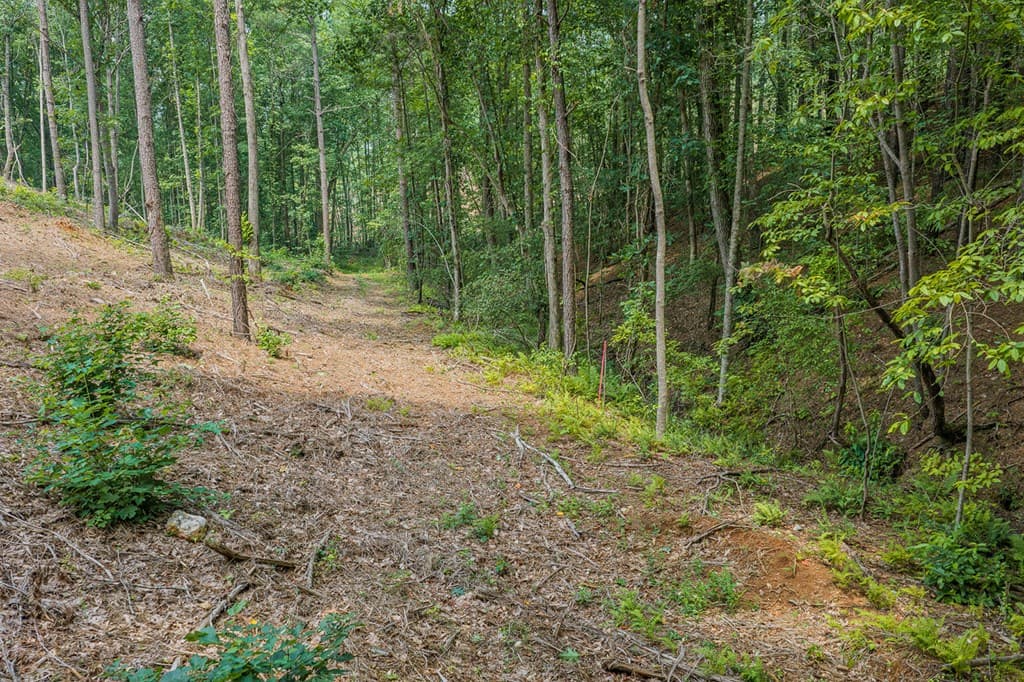Lot 63 Lacey Springs Lane, Ellijay GA 30143 - Photo