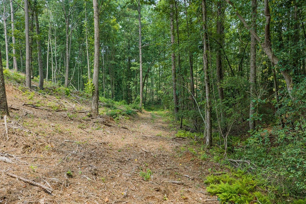 Lot 63 Lacey Springs Lane, Ellijay GA 30143 - Photo