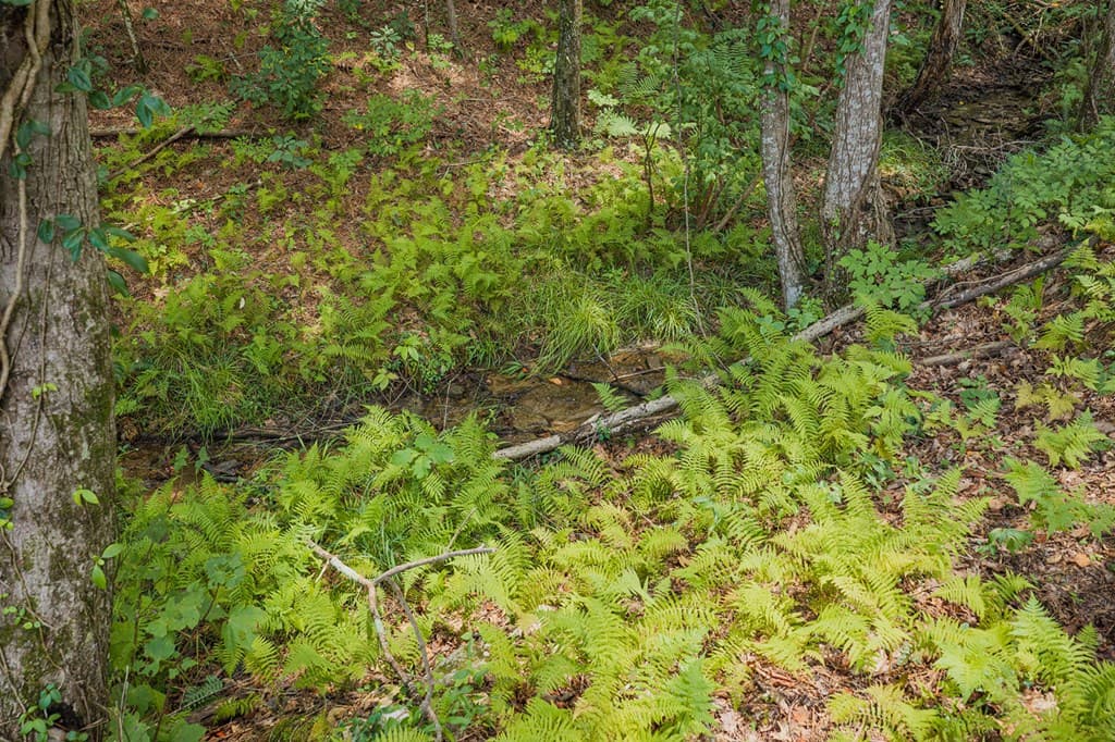 Lot 63 Lacey Springs Lane, Ellijay GA 30143 - Photo