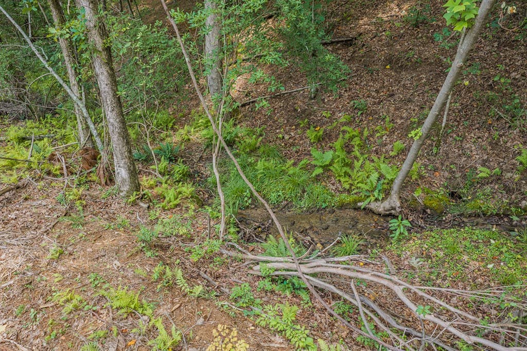 Lot 63 Lacey Springs Lane, Ellijay GA 30143 - Photo