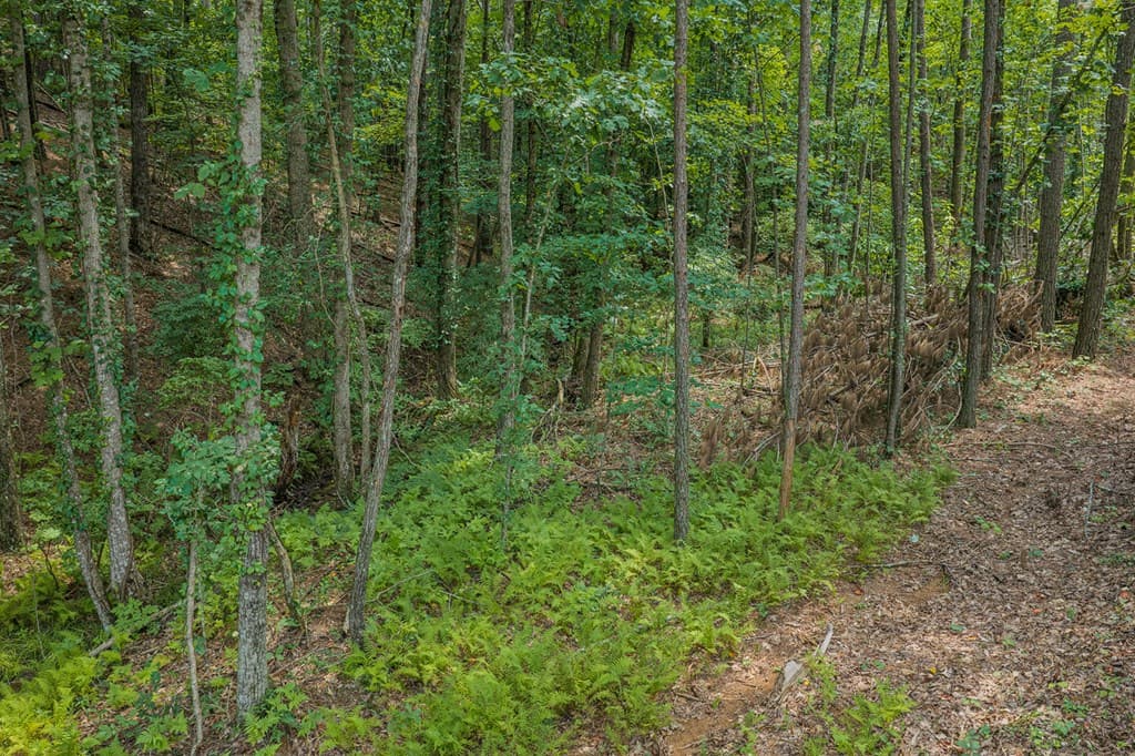 Lot 63 Lacey Springs Lane, Ellijay GA 30143 - Photo