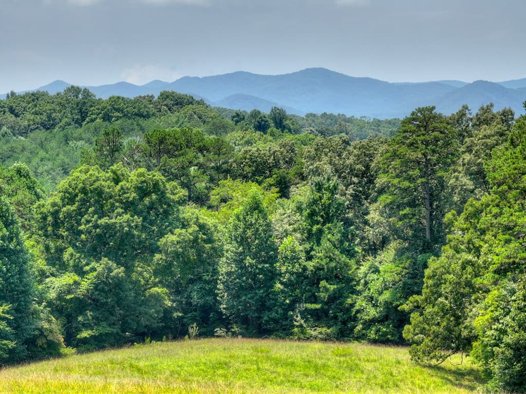 210 Lavista Drive, Blue Ridge GA 30513 - Photo