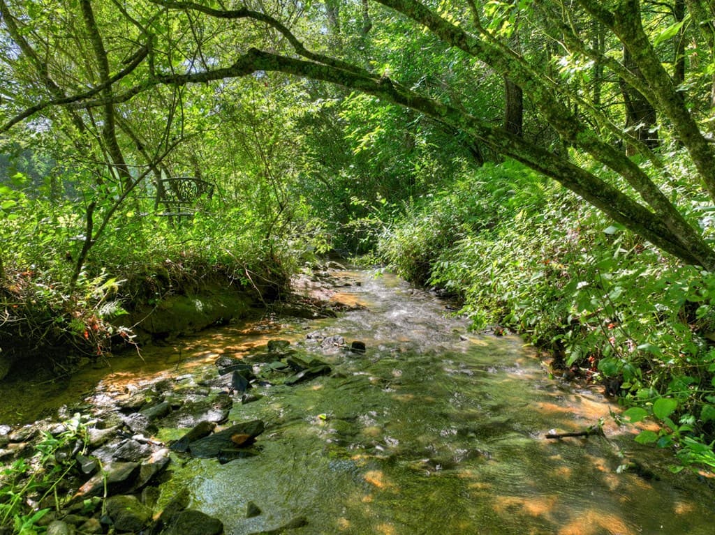0 Scenic Drive, Blue Ridge GA 30513 - Photo