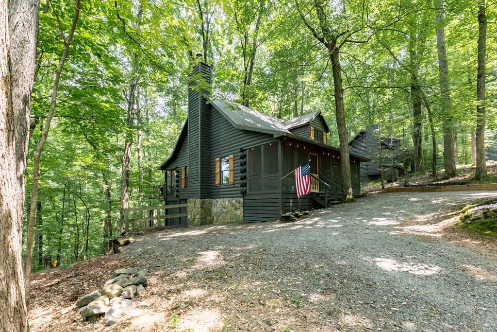 681 Skyview Drive, Ellijay GA 30536 - Photo