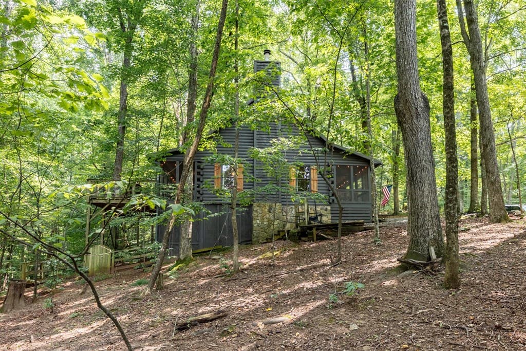 681 Skyview Drive, Ellijay GA 30536 - Photo
