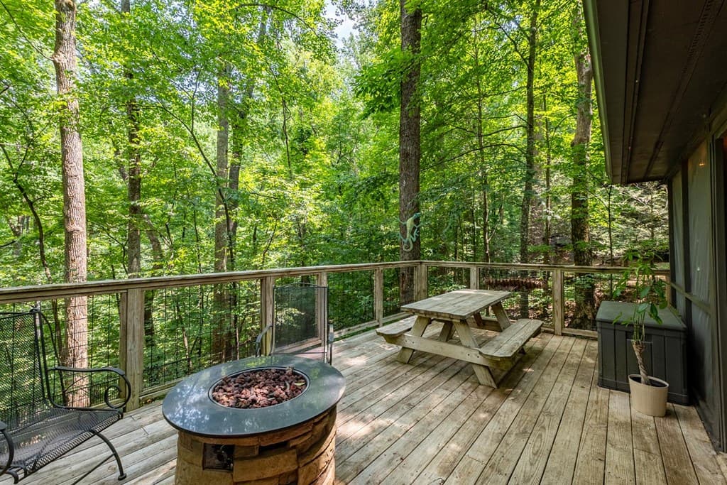 681 Skyview Drive, Ellijay GA 30536 - Photo
