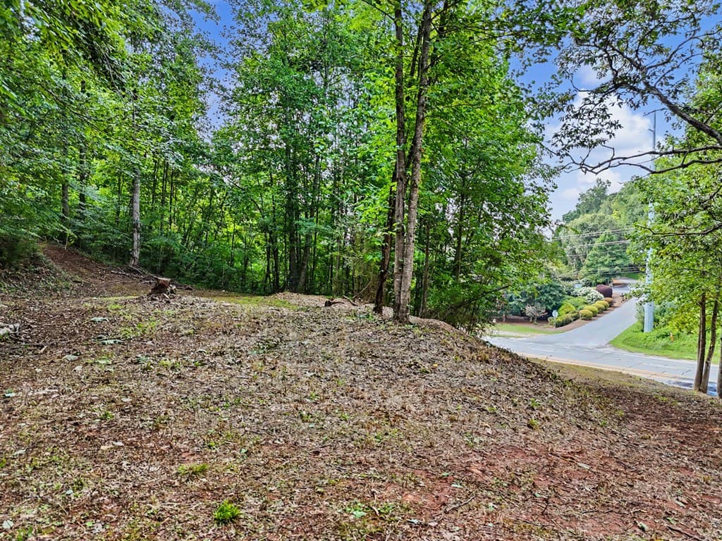 1.6 AC Highway 76, Young Harris GA 30582 - Photo
