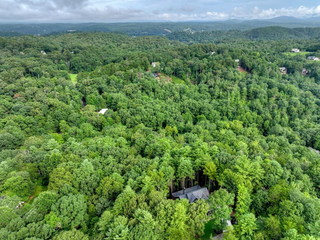 291 Aspen Avenue, Ellijay GA 30536 - Photo