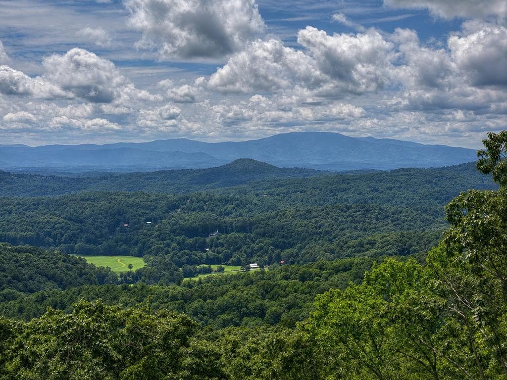 401 Kittatinny Drive, Mineral Bluff GA 30559 - Photo