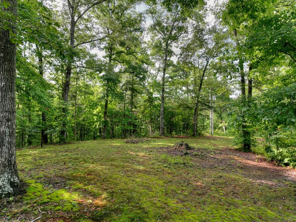 387 Ruby Lane, Mineral Bluff GA 30559 - Photo