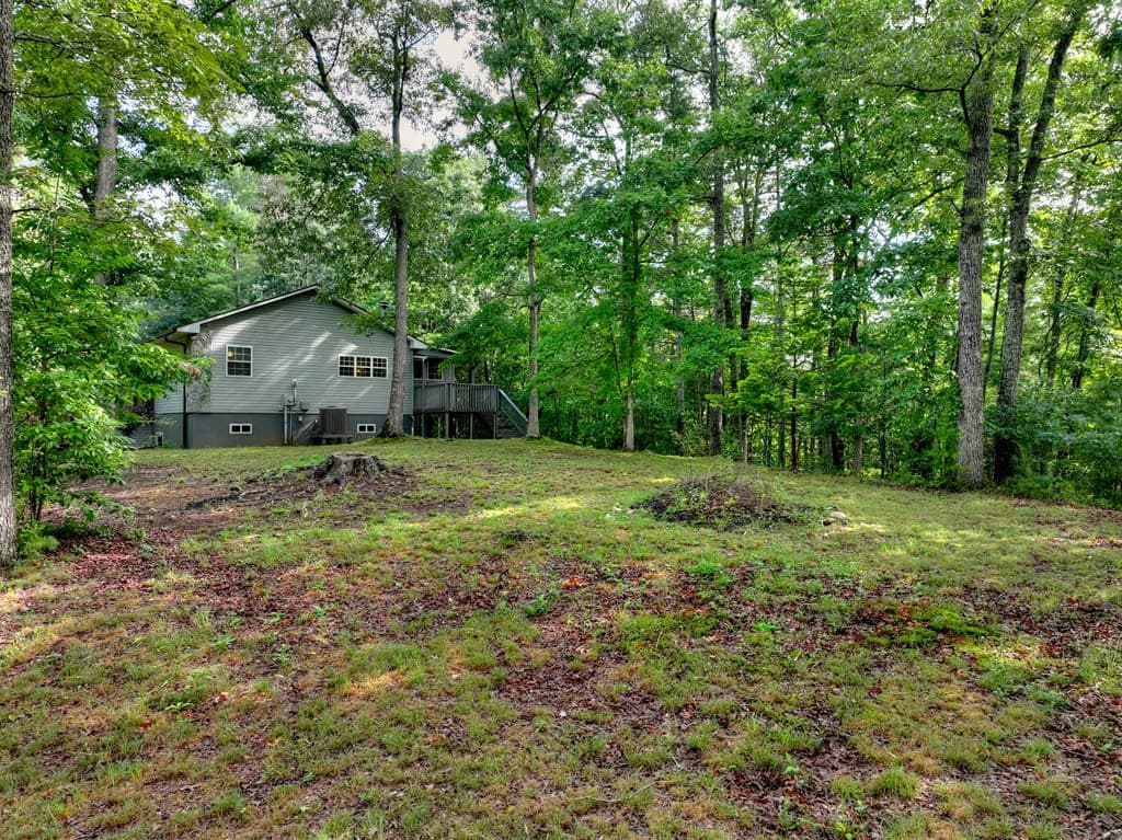 387 Ruby Lane, Mineral Bluff GA 30559 - Photo