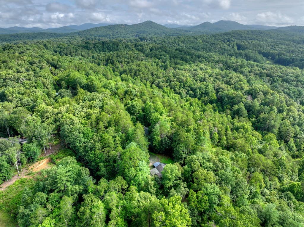 387 Ruby Lane, Mineral Bluff GA 30559 - Photo