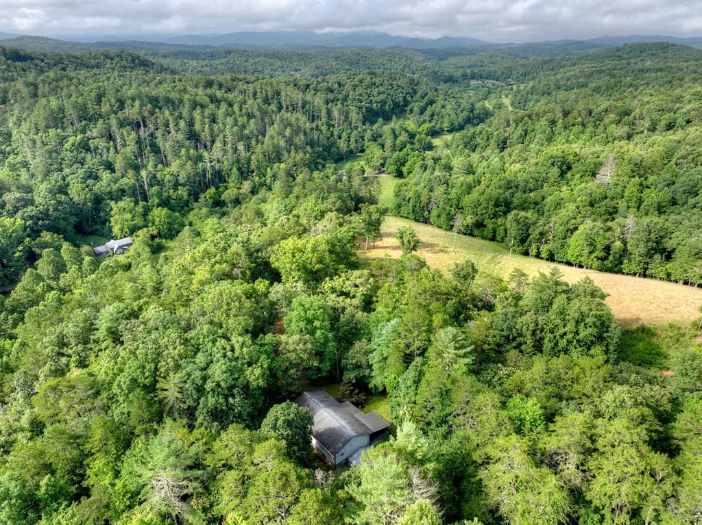 387 Ruby Lane, Mineral Bluff GA 30559 - Photo