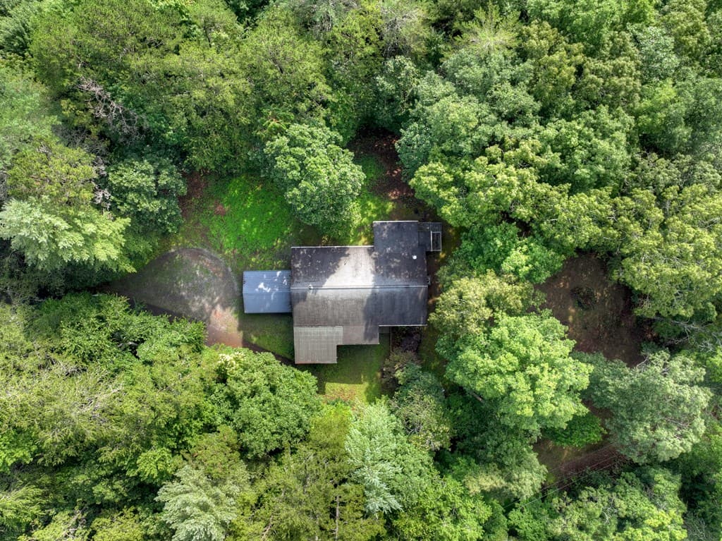 387 Ruby Lane, Mineral Bluff GA 30559 - Photo