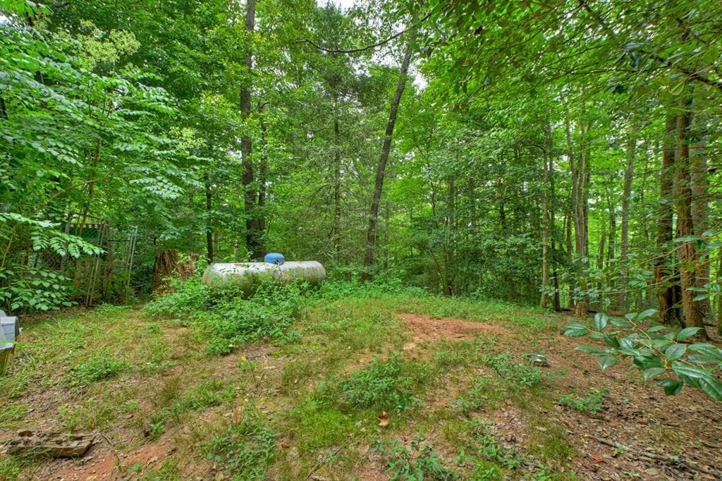 137 Welch Lane, Copperhill TN 37317 - Photo