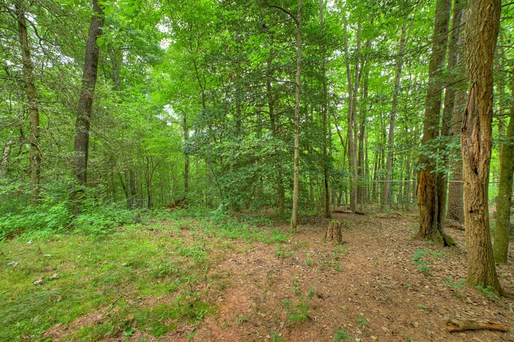 137 Welch Lane, Copperhill TN 37317 - Photo