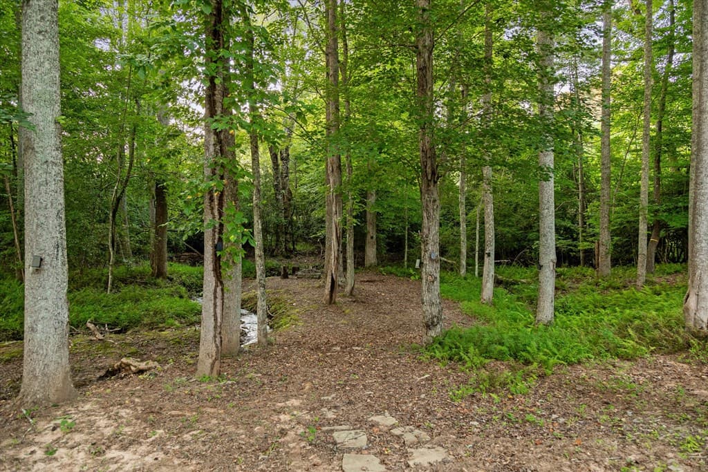 371 Windfield Circle, Blue Ridge GA 30513 - Photo