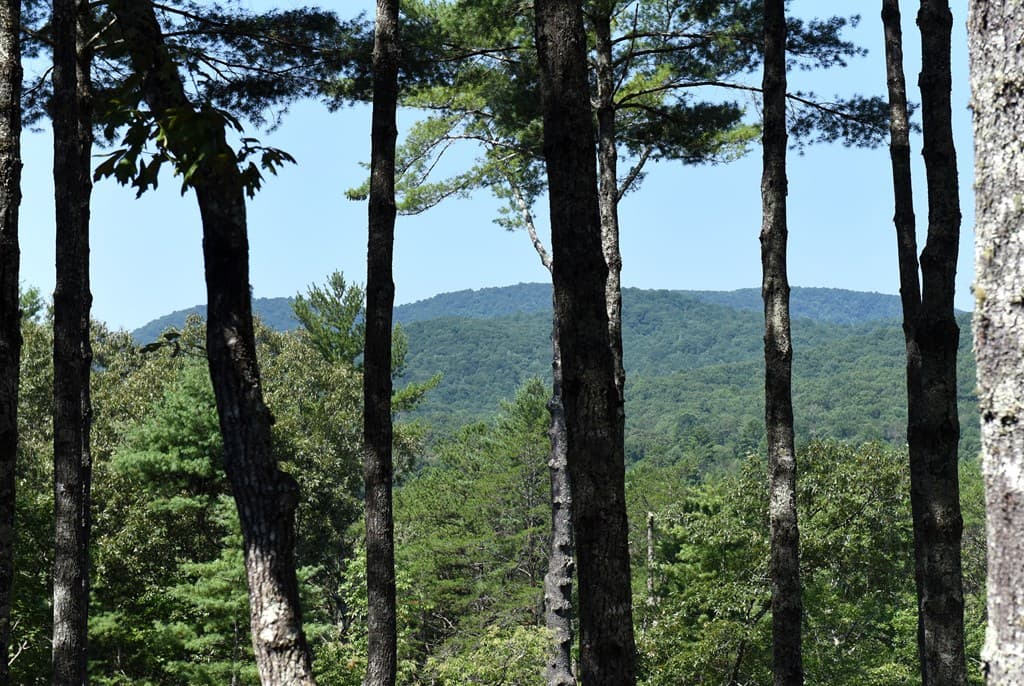 121 Noontootla Trail, Blue Ridge GA 30513 - Photo