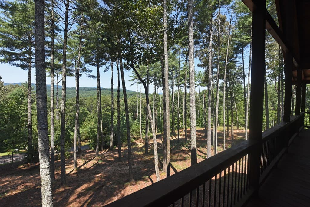 121 Noontootla Trail, Blue Ridge GA 30513 - Photo