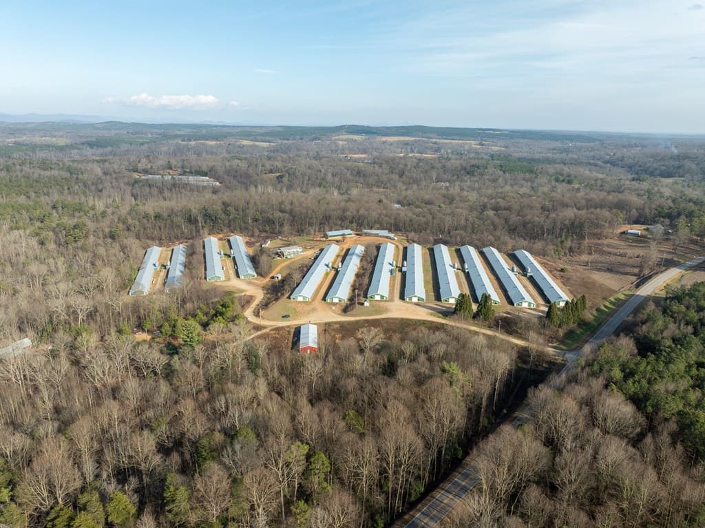 87 Eagle Creek Farm Drive, Dawsonville GA 30534 - Photo