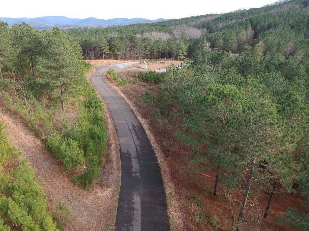 LT 43&44 Reece Mountain Road, Ellijay GA 30536 - Photo