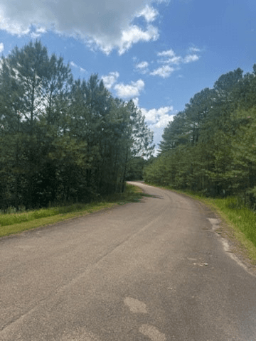 LT 43&44 Reece Mountain Road, Ellijay GA 30536 - Photo