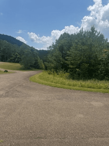LT 43&44 Reece Mountain Road, Ellijay GA 30536 - Photo
